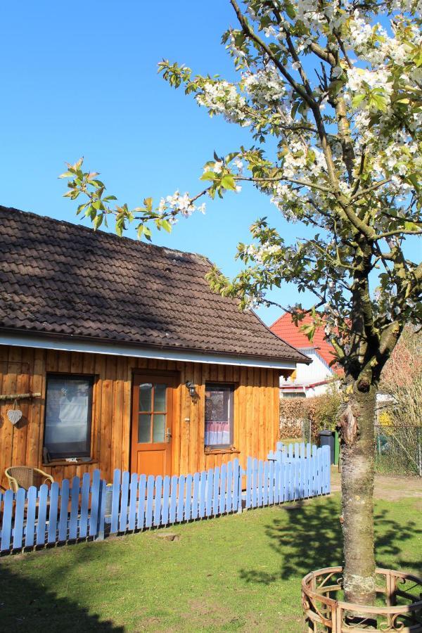 Ferienhaus/Ferienwohnung Reinecke Hodenhagen Zewnętrze zdjęcie